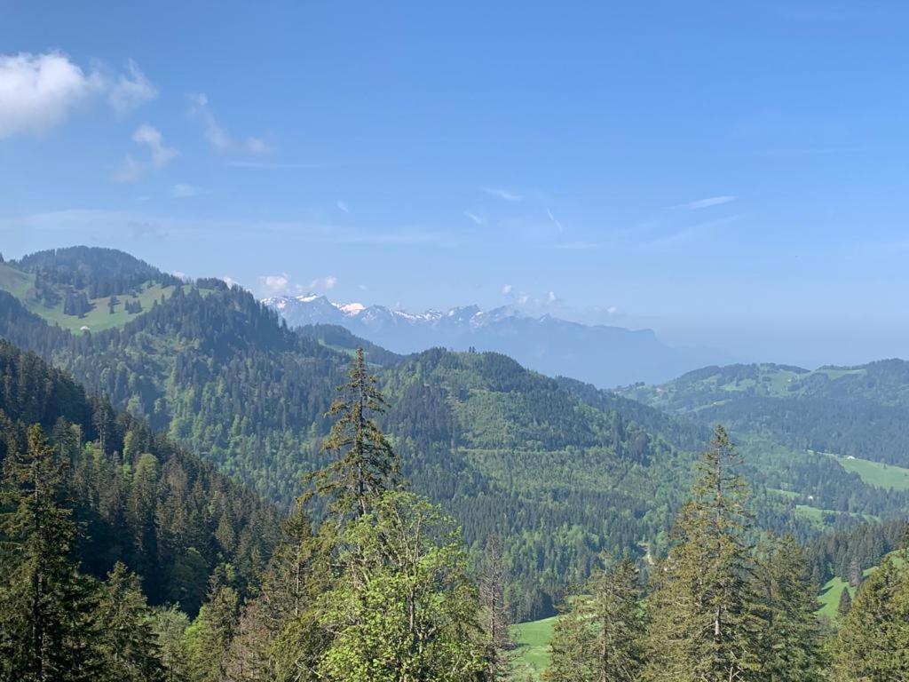 Boutique Hotel Corbetta - Spa 60M2 - La Montagne A 5 Minutes De L'Autoroute A12 Aux Paccots Sur Montreux - Nouveau Loft Familial - Profitez Du Lac Leman Et Des Montagnes En Meme Temps Les Paccots エクステリア 写真